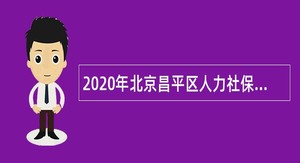 2020年北京昌平区人力社保局招聘合同制人员公告