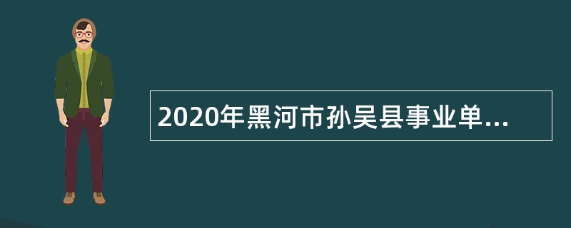 2020年黑河市孙吴县事业单位招聘考试公告（179人）