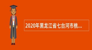 2020年黑龙江省七台河市桃山区人才引进补充公告