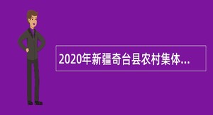 2020年新疆奇台县农村集体资产核算中心招聘编制外人员公告