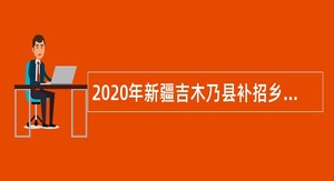 2020年新疆吉木乃县补招乡（镇）综治中心人员公告