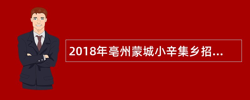 2018年亳州蒙城小辛集乡招聘民政专职人员公告