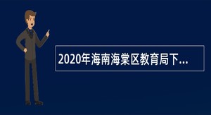 2020年海南海棠区教育局下属事业单位招聘公告（第1号）