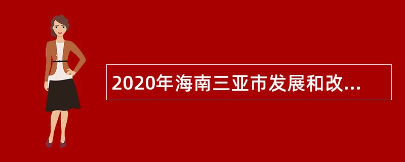 2020年海南三亚市发展和改革委员会招聘下属事业单位人员公告（第1号）