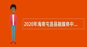 2020年海南屯昌县融媒体中心招聘外聘人员公告（一号）