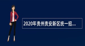 2020年贵州贵安新区统一招聘中小学、幼儿园雇员教师公告