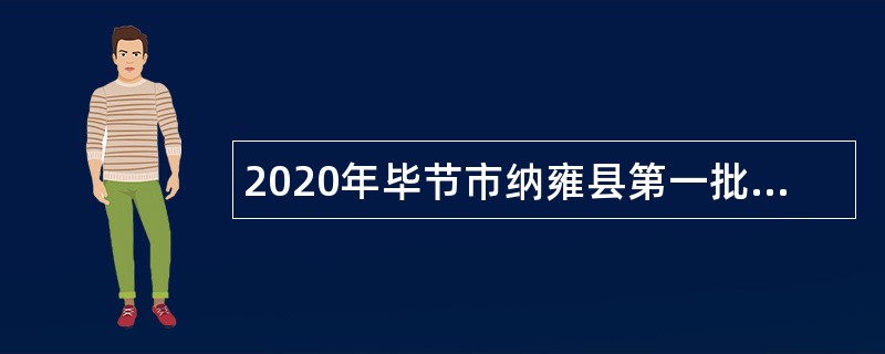 2020年毕节市纳雍县第一批事业单位招聘考试公告（10人）