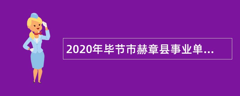 2020年毕节市赫章县事业单位招聘考试公告（第二批  22人）