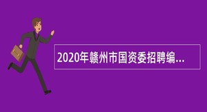 2020年赣州市国资委招聘编外会计岗人员公告