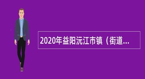 2020年益阳沅江市镇（街道）下属事业单位招聘考试公告（217人）