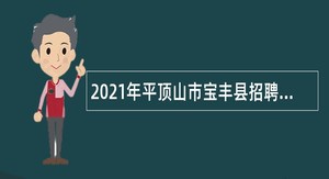 2021年平顶山市宝丰县招聘政务讲解人员公告