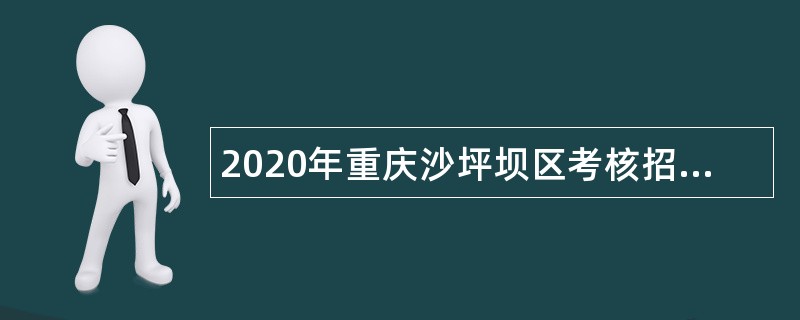 2020年重庆沙坪坝区考核招聘教育卫生事业单位工作人员公告