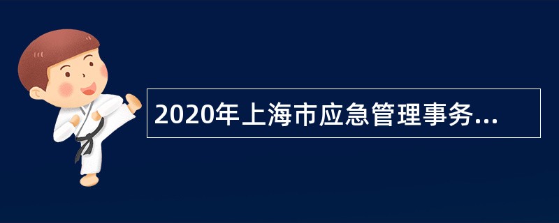 2020年上海市应急管理事务和化学品登记中心招聘公告