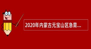 2020年内蒙古元宝山区急需紧缺人才引进公告