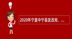 2020年宁夏中宁县发改局、统计局、园区办聘用编制人员招聘公告