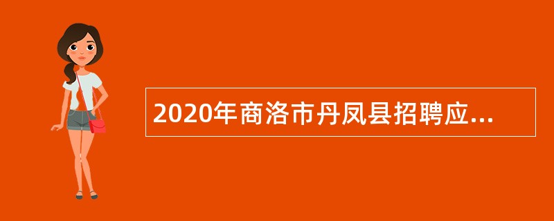 2020年商洛市丹凤县招聘应急管理人员公告