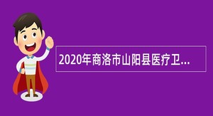 2020年商洛市山阳县医疗卫生机构医学类毕业生空缺计划招聘公告