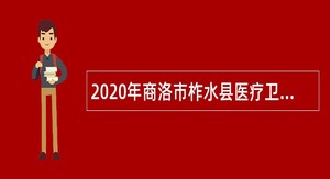 2020年商洛市柞水县医疗卫生机构招聘公告