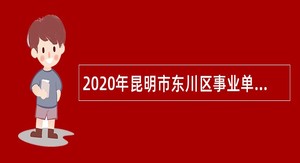 2020年昆明市东川区事业单位人才引进公告