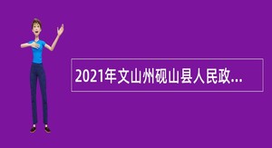 2021年文山州砚山县人民政府办公室面向社会招聘非编制内社会服务岗位人员公告