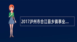 2017泸州市合江县乡镇事业单位从大学生村官中考核招聘公告