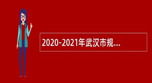 2020-2021年武汉市规划研究院招聘公告