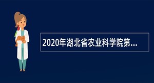 2020年湖北省农业科学院第三批专项招聘公告