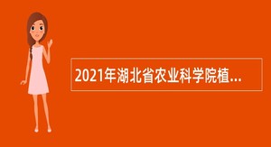 2021年湖北省农业科学院植保土肥研究所面向社会自主招聘公告