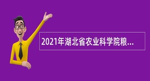 2021年湖北省农业科学院粮食作物研究所自主招聘公告