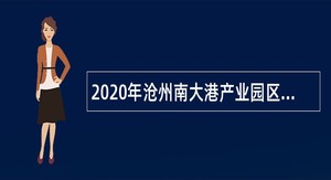 2020年沧州南大港产业园区招聘机关事业单位辅助岗位人员公告