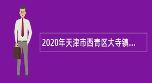 2020年天津市西青区大寺镇招聘编外人员公告