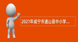 2021年咸宁市通山县中小学、幼儿园教师补员招聘公告