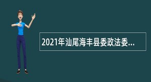 2021年汕尾海丰县委政法委招聘政府聘员公告
