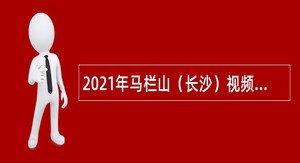 2021年马栏山（长沙）视频文创园管理委员会招聘中级雇员公告（湖南）