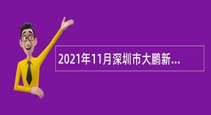 2021年11月深圳市大鹏新区事业单位招聘考试公告（25人）
