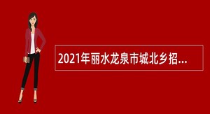 2021年丽水龙泉市城北乡招聘编外工作人员公告