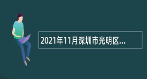 2021年11月深圳市光明区应急管理局特聘岗位专干选聘公告