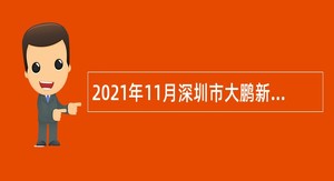 2021年11月深圳市大鹏新区大鹏办事处招聘编外人员公告