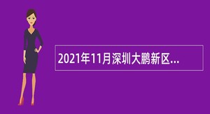 2021年11月深圳大鹏新区机关事务管理中心招聘编外人员公告