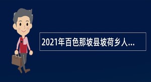 2021年百色那坡县坡荷乡人民政府补充招聘村级扶贫信息员公告