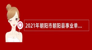2021年朝阳市朝阳县事业单位招聘专业技术人员公告