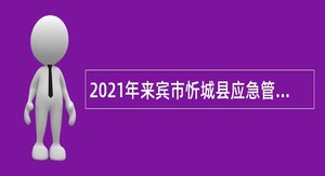 2021年来宾市忻城县应急管理局编外聘用人员招聘公告