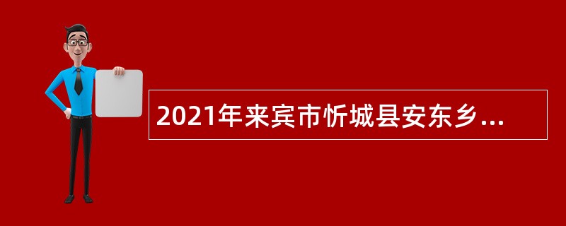 2021年来宾市忻城县安东乡人民政府招聘编外工作人员公告
