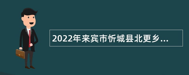 2022年来宾市忻城县北更乡人民政府招聘党政机关编外人员公告