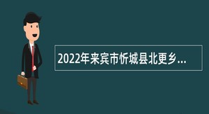 2022年来宾市忻城县北更乡人民政府招聘党政机关编外人员公告