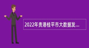 2022年贵港桂平市大数据发展和政务局招聘编外工作人员公告