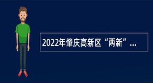 2022年肇庆高新区“两新”组织党工委招聘政府雇员公告