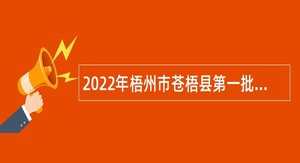 2022年梧州市苍梧县第一批直接面试招聘事业单位工作人员公告