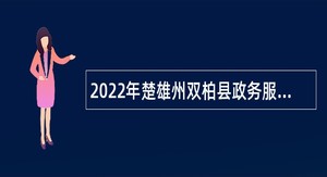 2022年楚雄州双柏县政务服务管理局招聘行政审批服务中心帮办人员公告