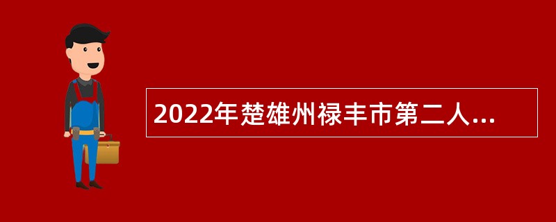 2022年楚雄州禄丰市第二人民医院招聘人员公告